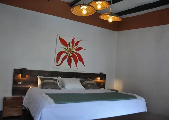 Hotel Orquideas In 2*
