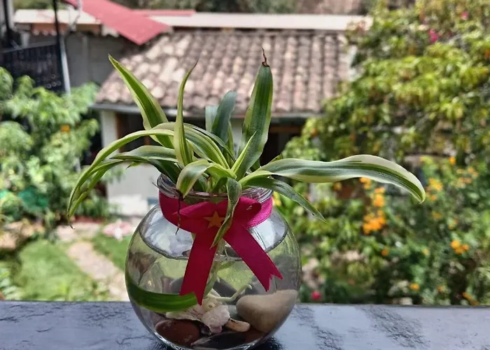 Orquideas In 2*