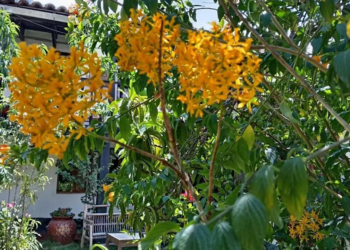 Orquideas In 2* Ollantaytambo