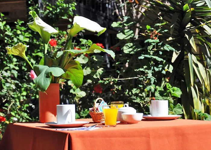 Orquideas In Hotel